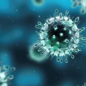 Influenza Flu